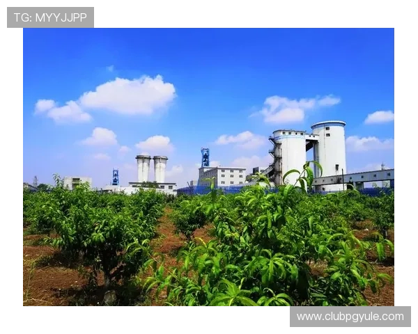 PG娱乐网址娱乐平台官网积极响应行业规范，推动绿色健康娱乐生态建设